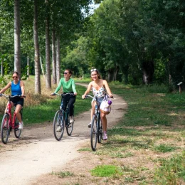 balade-velo-itinerance-niort-marais-poitevin