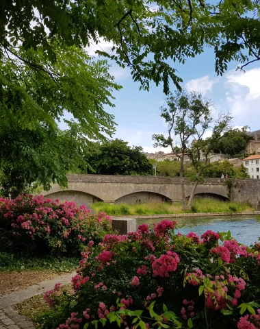 Niort Marais Poitevin