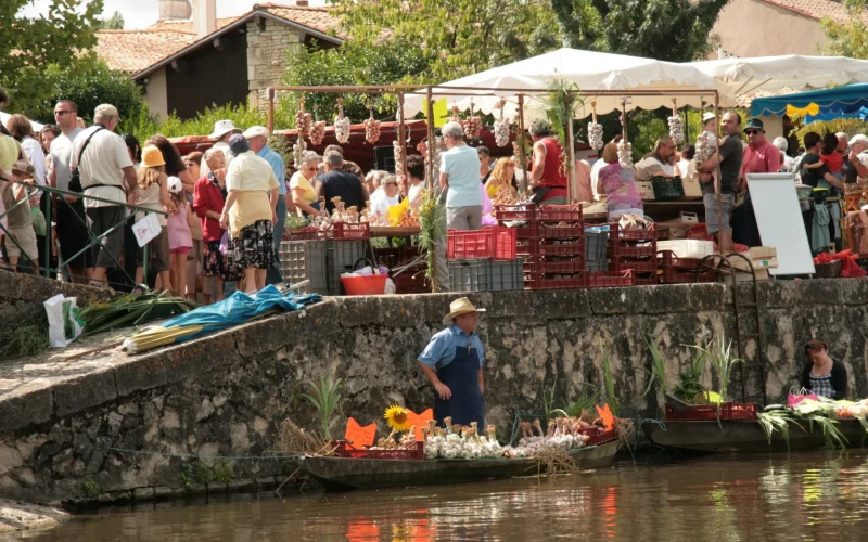 marche-sur-leau-au-vanneau-irleau-niort-marais-poitevin