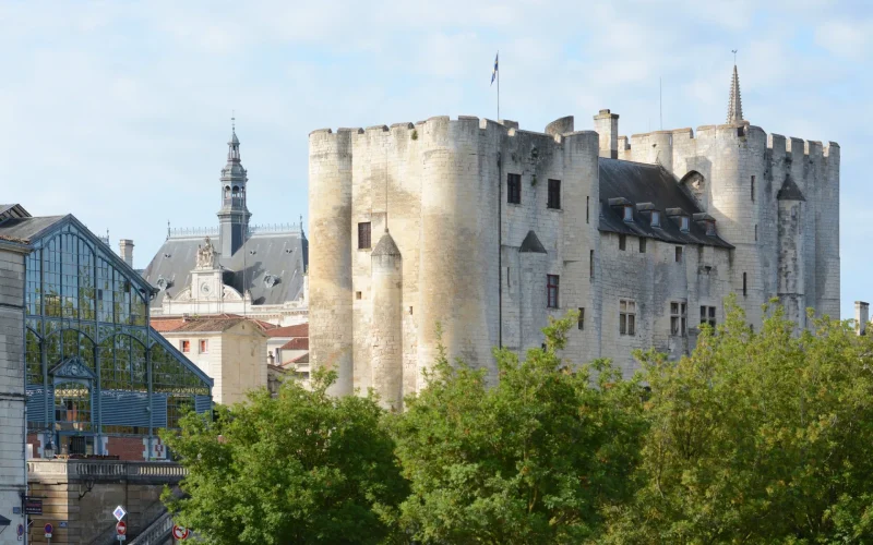 donjon-de-niort-marais-poitevin-centre-ville