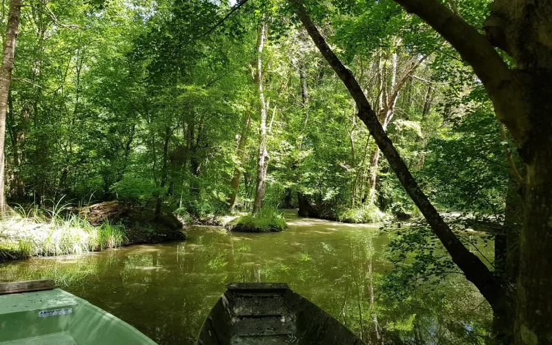 saint-georges-de-rex-barque-niort-marais-poitevin