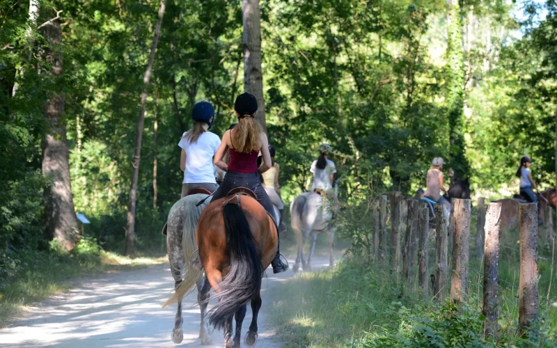 balade-a-cheval-niort-marais-poitevin